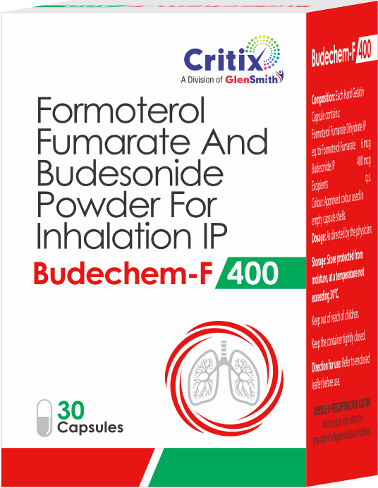 BUDECHEM-F 400